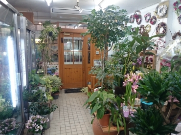 「Ｆｕｌｌ　ｈｏｕｓｅ（フルハウス）」　（岐阜県岐阜市）の花屋店舗写真4