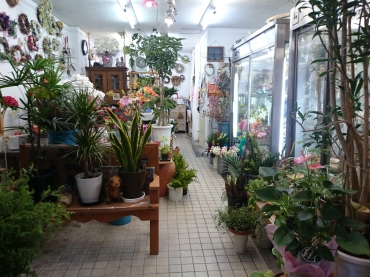 「Ｆｕｌｌ　ｈｏｕｓｅ（フルハウス）」　（岐阜県岐阜市）の花屋店舗写真2